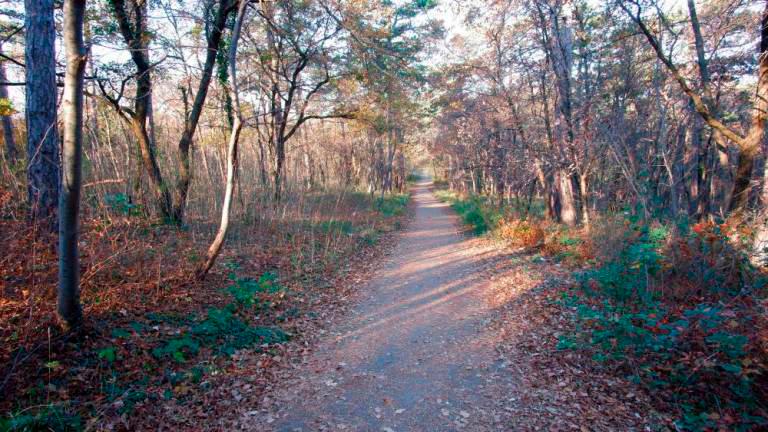 Jusarji menijo, da hoče Občina Trst diskriminirati Slovence in jim odvzeti zemljišča