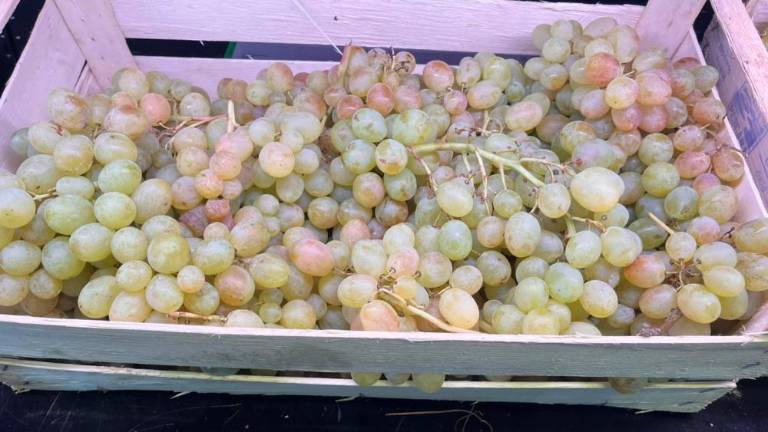 Opozorilo o grozdju s previsokimi koncentracijami pesticida