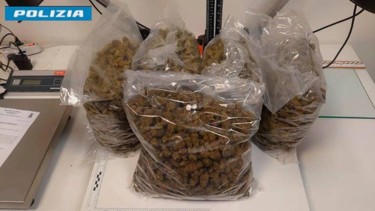 Marihuano prejeli kar s hitro paketno dostavo