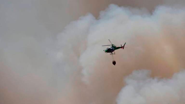 Požarna ogroženost največja v Slovenski Istri