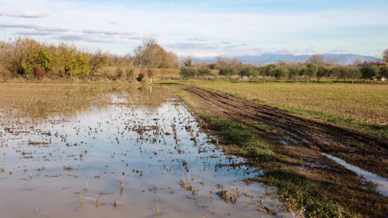 »Glede vodotokov potrebna sprememba zakonodaje«