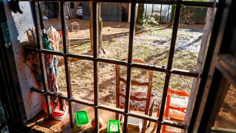 V Verso se vrača življenje