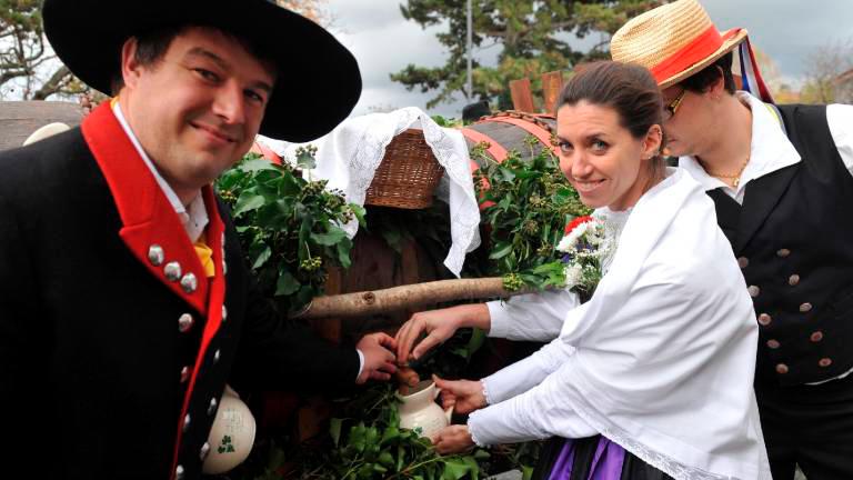 Koronavirus jo je zagodel martinovanju na Proseku