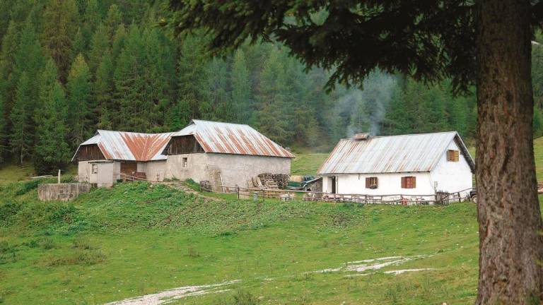Med sestopom z Višarske planine si je močno zvila gleženj