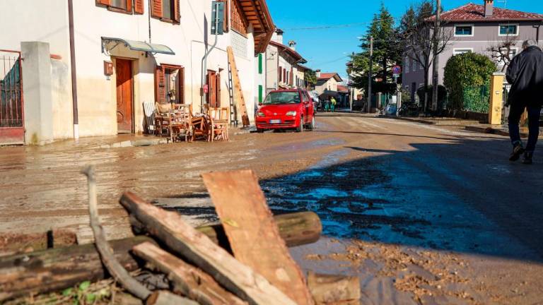 V Verso se vrača življenje