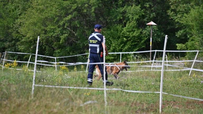 Med Briščami in Samatorco našli žensko truplo