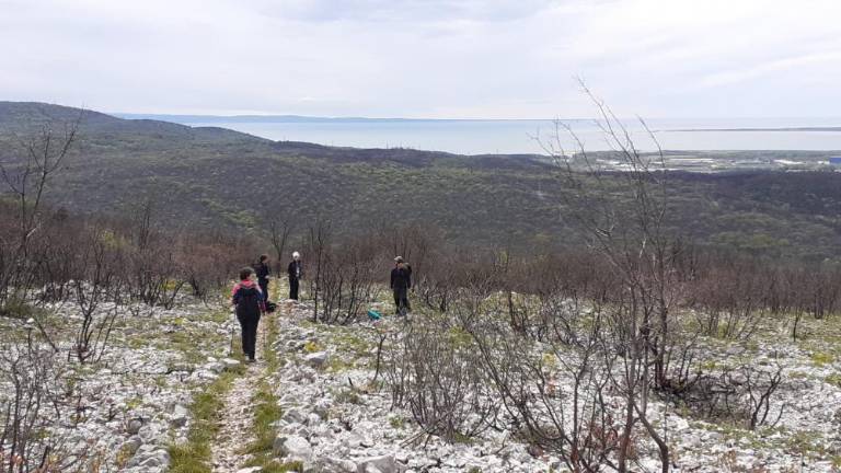 Čezmejna pot za spodbujanje gibanja in zdravega življenjskega sloga