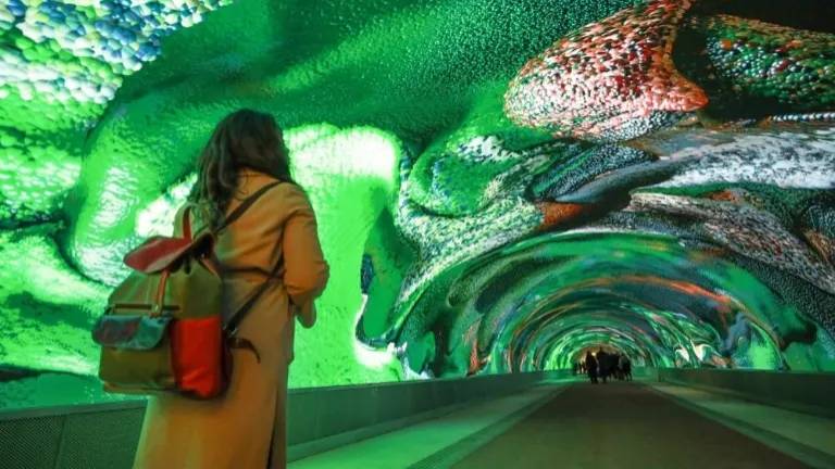 Digitalno galerijo obiskalo 100 tisoč ljudi