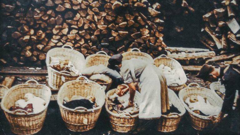 Kinoateljejev cikel o slovenskem filmu v Italiji z Majo Weiss