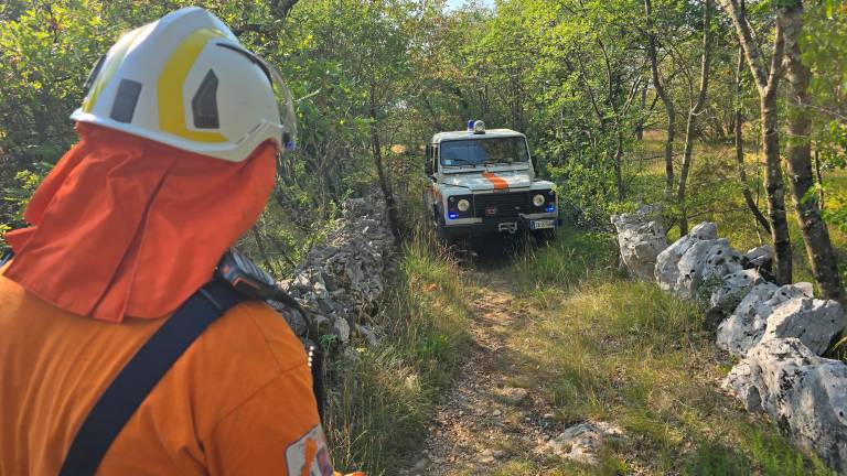 Požar pri Padričah so pogasili (VIDEO)