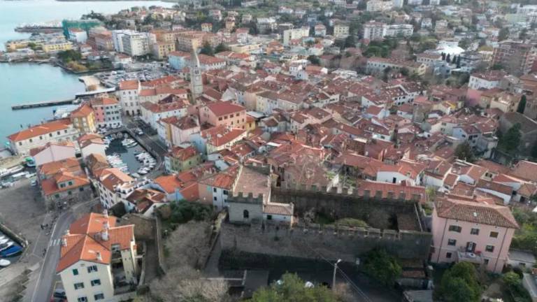 »Prostovoljna varnostna služba bo predvsem opazovala«