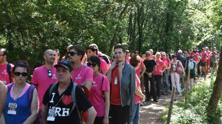 Pohod Kohišče odpade, odpirajo pa Rilkejevo pot