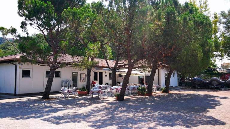 Prostore TPK Sirena obiskali tatovi