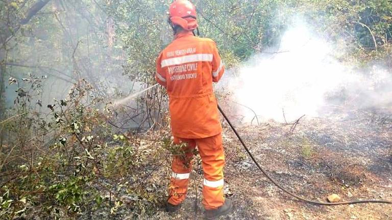 Na pogorišču jo je zmečkalo drevo