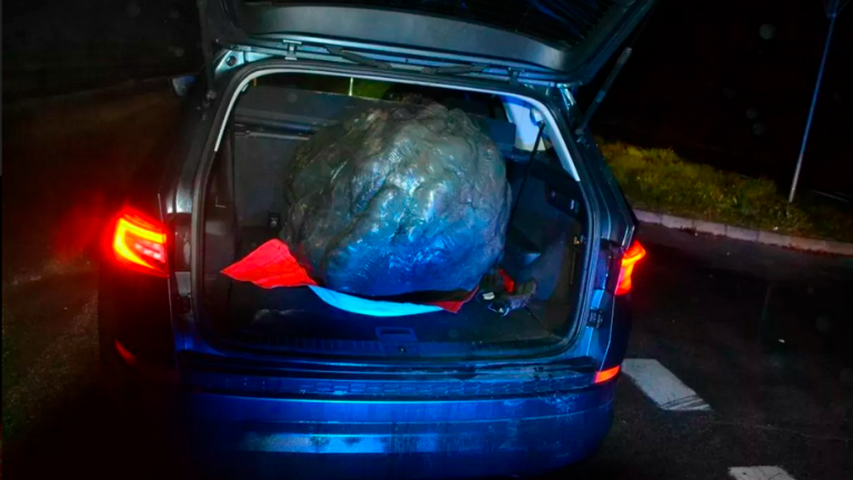 Skrunitelju Titovega kipa v Velenju grozi večletna zaporna kazen