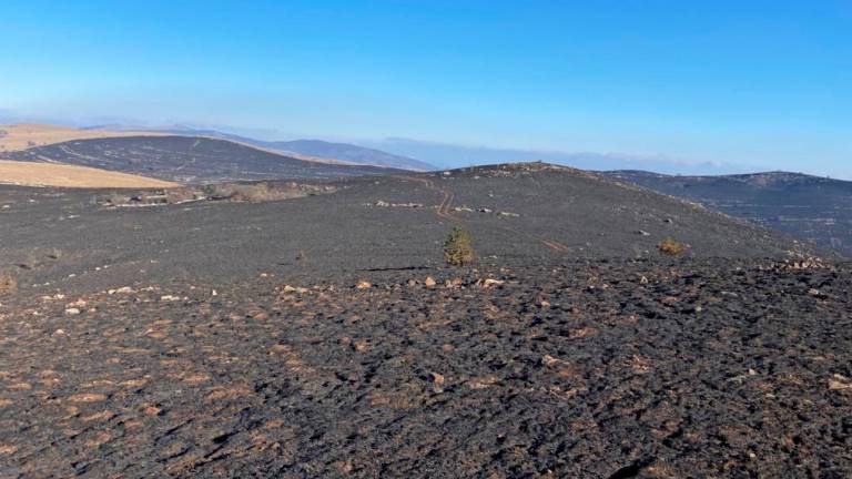Močno gorelo na širšem območju nad Rakitovcem