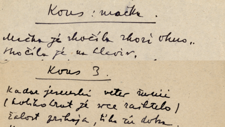 Rokopisi Srečka Kosovela odslej bližji ljudem