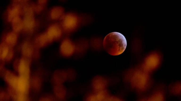 Nenavadno velika Luna se je odela v rdečo barvo
