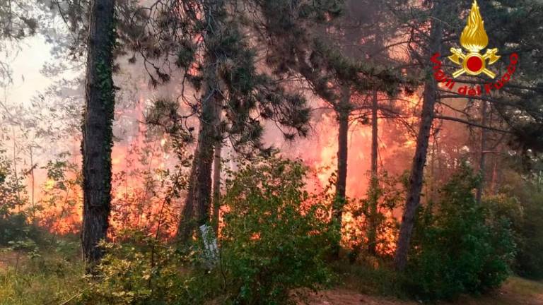 Požar za Tržičem pod nadzorom