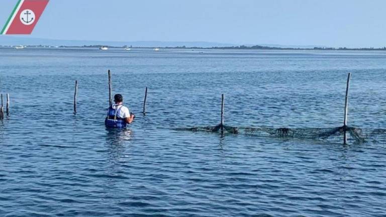 Zasegli ribiško mrežo