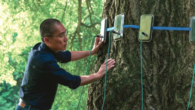 Na Tržaškem filmskem festivalu nocoj sklepna slovesnost