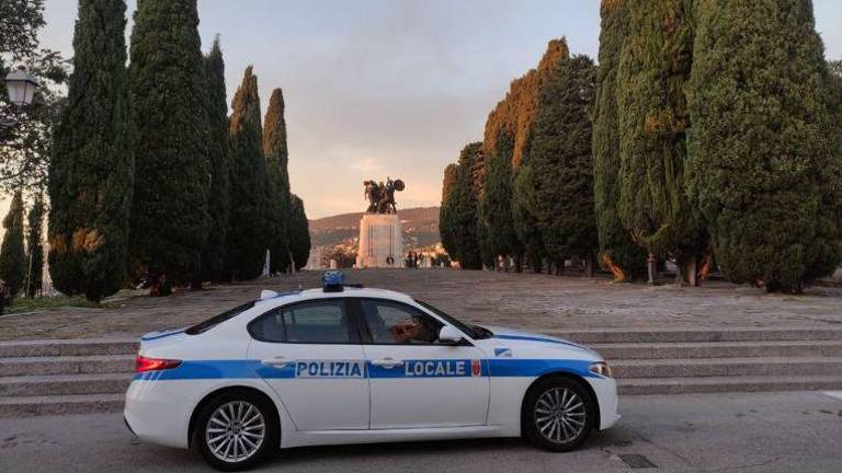 Pokazal je lažno vozniško dovoljenje in osebno izkaznico