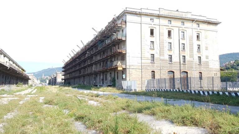 Urbana regeneracija ali »katedrala na morju«?