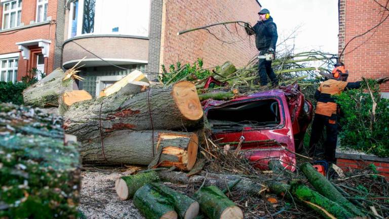 Silovita nevihta Ciara prizadela več evropskih držav