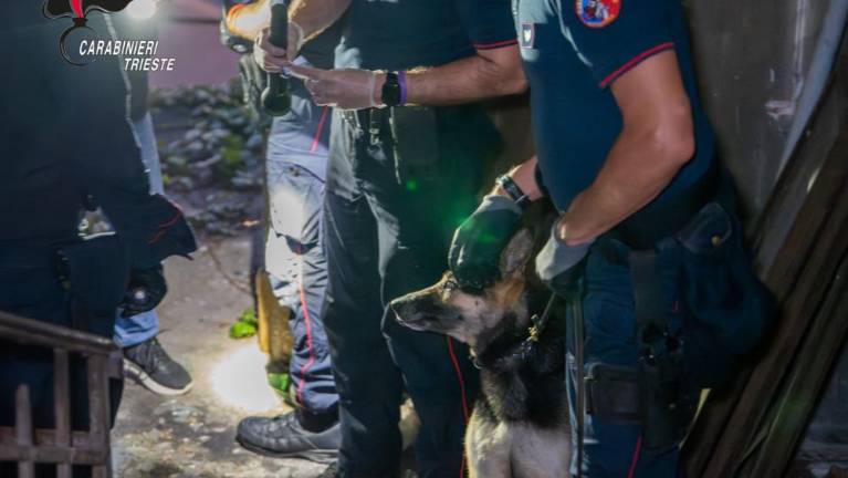 Ovadili dvajset tujih državljanov, ki so nezakonito bivali v Starem pristanišču