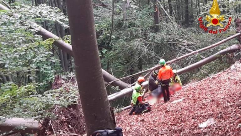 V Reziji med žaganjem drv težak koreninski sistem zakopal domačina