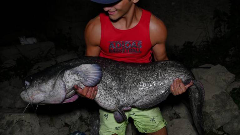 Velikan pod rubijskim mostom