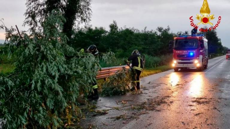 Močna nevihta ponoči nepričakovano prešla vso deželo