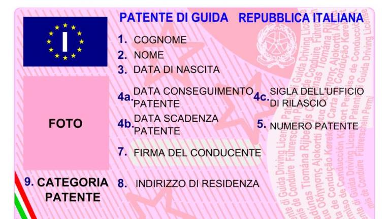 Strešica naj bi jo stala 20 evrov