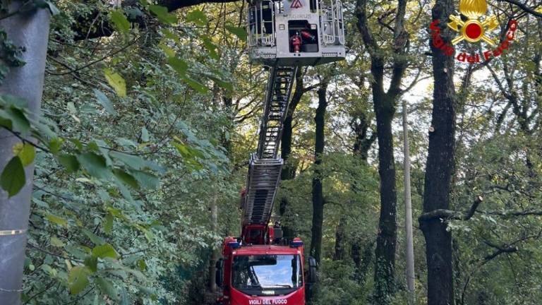 V Trstu burja povzročila kar nekaj škode