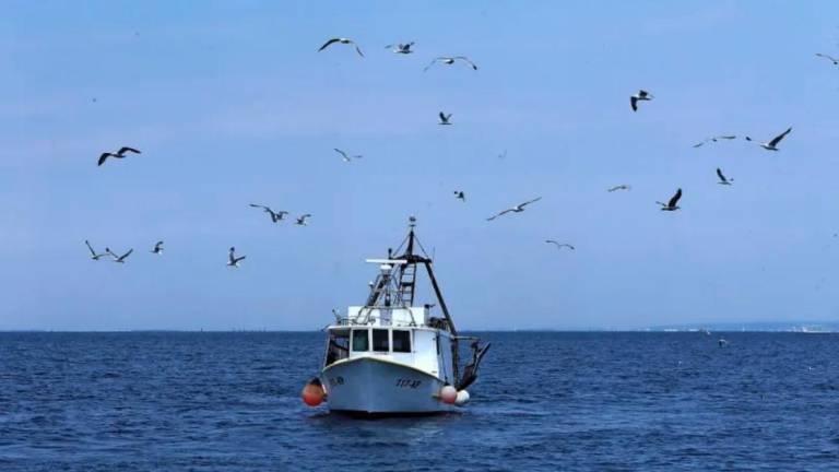 Italija vzpostavila izključno ekonomsko cono v Jadranu