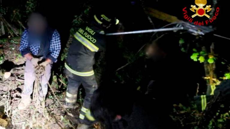 Po triurnem delu rešili oslico, ki je obtičala v blatu