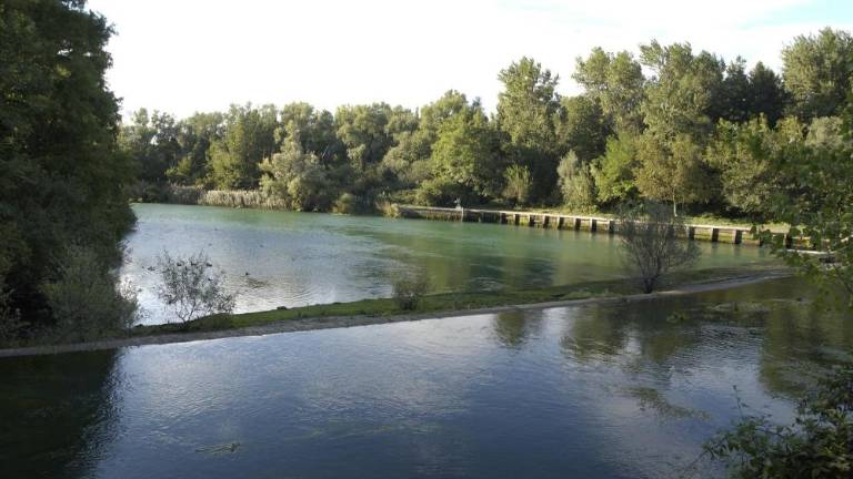 Populacije prostoživečih živali so se zmanjšale za 68 odstotkov