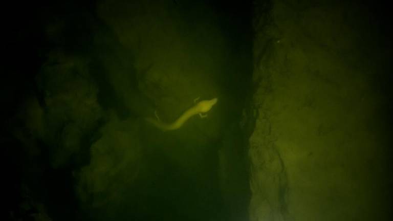 Odkrili so tretje okno v podzemni svet