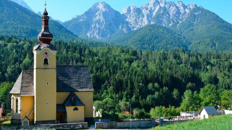 Rešitev za Trbiški gozd bi želeli poiskati skupaj