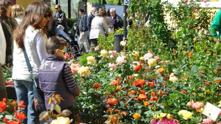 Festival v svetoivanskem parku posvečen Basaglii