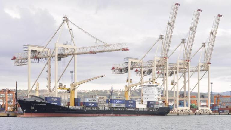 V koprskem pristanišču zasegli večjo količino kokaina