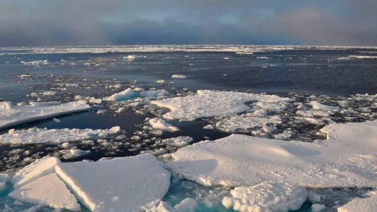 Arktični ocean bi lahko septembra prvič ostal brez ledu