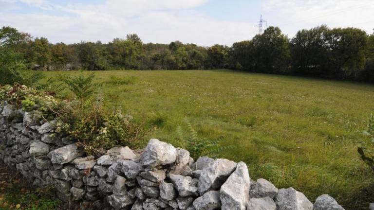 Kako ohraniti in ščititi kraško gmajno