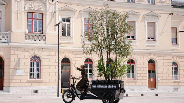 Po Goricah z drevesom na kolesih