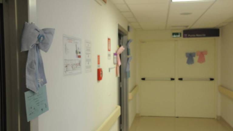 V goriški občini lani vpisali 169 novorojenčkov