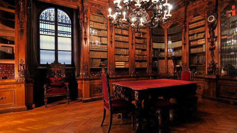 V ospredju knjižnice, knjige in branje