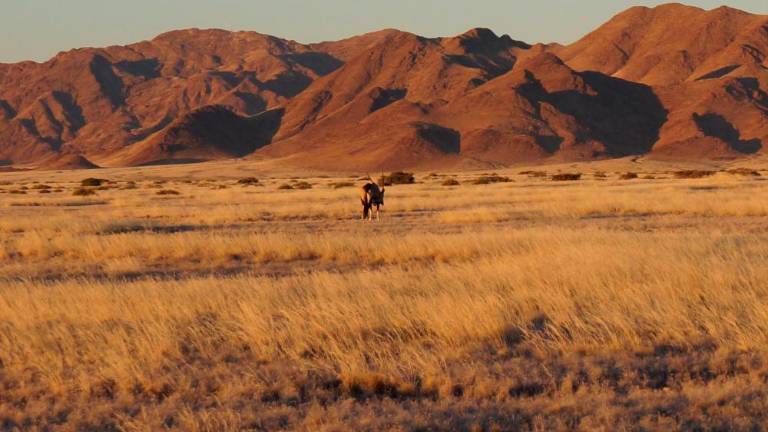 Namibija - Agencija AURORA (od 2. do 13. aprila 2019)