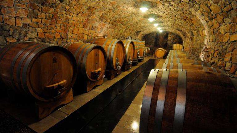 Obiskali bodo pristne tovarne okusov