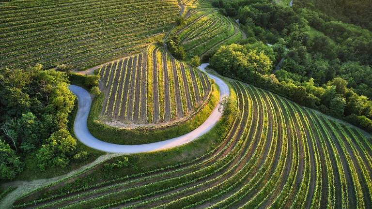 Alpsko-jadransko partnerstvo bo svoje destinacije promoviralo v Kanadi