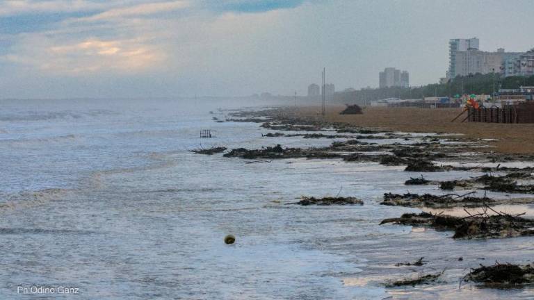 Podivjano morje poškodovalo plaže (FOTO in VIDEO)